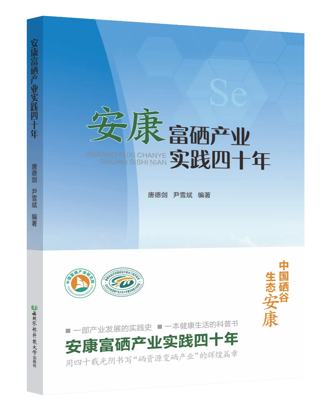 13.webp.png 13.webp.png